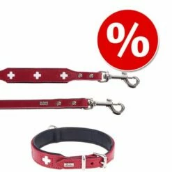 Hunter Set: Halsband Swiss + Hondenriem Swiss