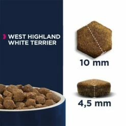 Eukanuba Breed Specific West Highland White Terriër Hondenvoer -Exporteren Bitiba winkel 170000 tetragmbhiams eukanuba adult breedspecific westhighland whiteterrier 2 5kg hs 05 6