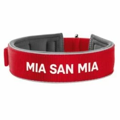 Hunter Kraag Neopreen Reflectie FC Bayern München