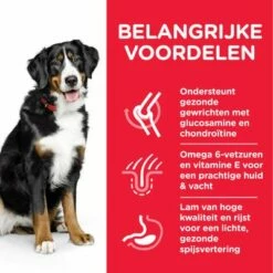 Hill's Science Plan Adult Large Breed Lam En Rijst -Exporteren Bitiba winkel 2 atf8 604373 key benefits 4
