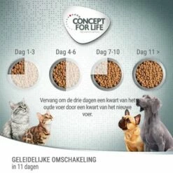 Concept For Life British Shorthair Adult Kattenvoer - Verbeterde Receptuur! -Exporteren Bitiba winkel 6 cfl board feeding 1000x1000 1 4