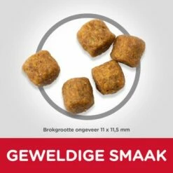 Hill's Science Plan Adult Medium Met Lam Met Rijst -Exporteren Bitiba winkel atf10 604357 food shot 2