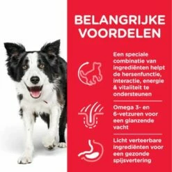 Hill's Science Plan Adult 7+ Senior Vitality Medium Met Kip -Exporteren Bitiba winkel atf8 604384 key benefits 0