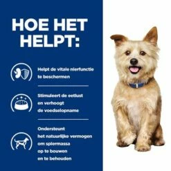 Hill's Prescription Diet Canine K/D Kidney Care Hondenvoer Met Kip -Exporteren Bitiba winkel atf 605672 how it helps 4