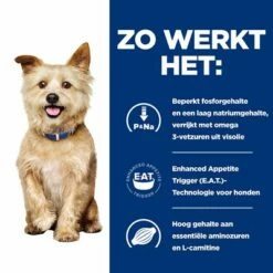 Hill's Prescription Diet Canine K/D Kidney Care Hondenvoer Met Kip -Exporteren Bitiba winkel atf 605672 how it works 3