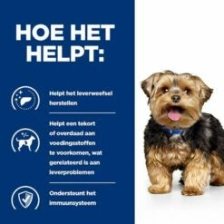 Hill's Prescription Diet Canine L/D Liver Care Hondenvoer Original -Exporteren Bitiba winkel atf 605678 how it helps 8 1