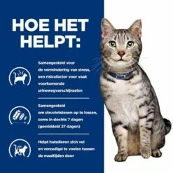 Hill's Prescription Diet C/d Urinary Stress + Metabolic Kattenvoer -Exporteren Bitiba winkel atf 605983 how it helps 2