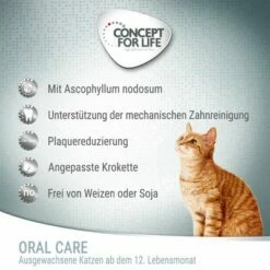 Concept For Life Oral Care -Exporteren Bitiba winkel oral care 0