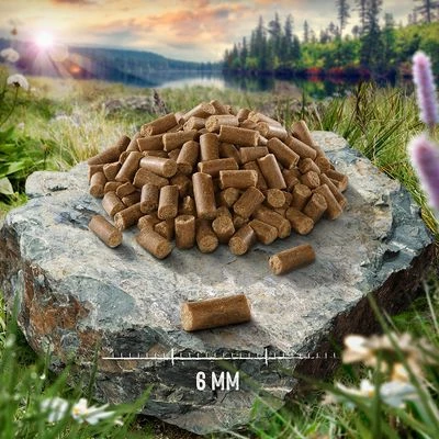 Purizon Coldpressed Kip Met Visolie Kattenvoer 4 Purizon Coldpressed Kip Met Visolie Kattenvoer - Afbeelding 4