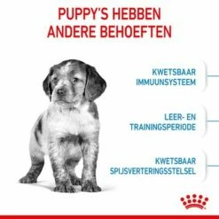 Royal Canin Medium Puppy Hondenvoer 12 Royal Canin Medium Puppy Hondenvoer -Exporteren Bitiba winkel rc spt dry mediumpuppy cv 2 nl nl 1 4