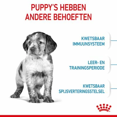 Royal Canin Medium Puppy Hondenvoer 4 Royal Canin Medium Puppy Hondenvoer - Afbeelding 4