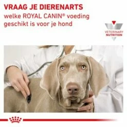 Royal Canin Veterinary Renal Mousse Hondenvoer -Exporteren Bitiba winkel rc vet wet dogrenalloaf410 cv eretailkit 7 nl nl 4