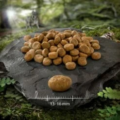 Wolf Of Wilderness 'Ruby Midnight' - Rund & Konijn Hondenvoer 9 Wolf Of Wilderness 'Ruby Midnight' - Rund & Konijn Hondenvoer -Exporteren Bitiba winkel wow adult classic red crimson sunset lamm ziege 932488 1 13 16 mm 2