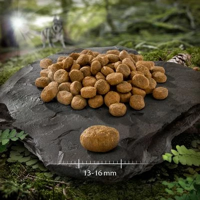 Wolf Of Wilderness 'Ruby Midnight' - Rund & Konijn Hondenvoer 3 Wolf Of Wilderness 'Ruby Midnight' - Rund & Konijn Hondenvoer - Afbeelding 3